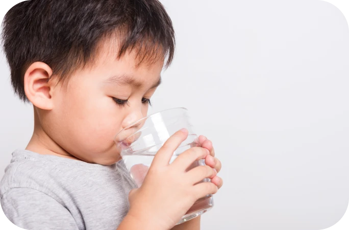 食後には水や緑茶を